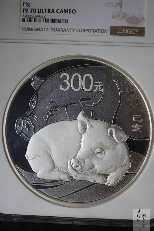 【191115】2019中国己亥（猪）年金银纪念币1公斤圆形银币