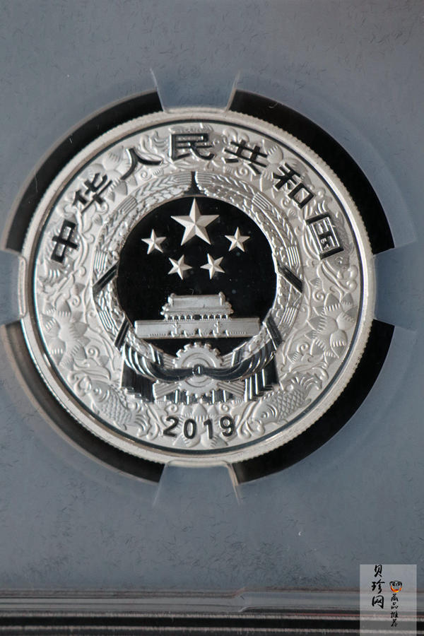 【199550】2019中国己亥（猪）年生肖精制彩银币+本银币两枚一套