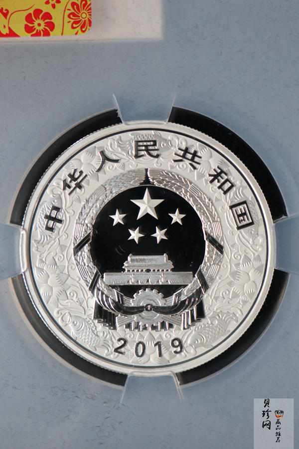【199550】2019中国己亥（猪）年生肖精制彩银币+本银币两枚一套