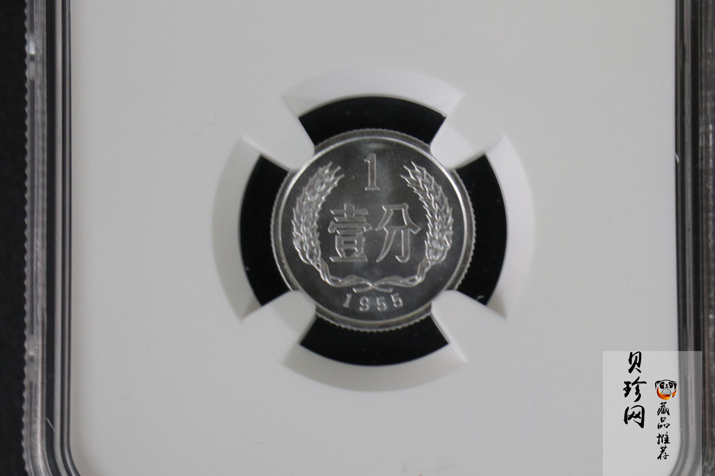 【559020】1955年中国硬币1分一枚