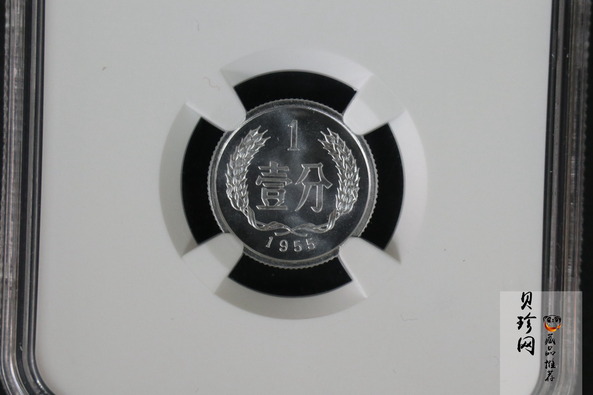 【559020】1955年中国硬币1分一枚