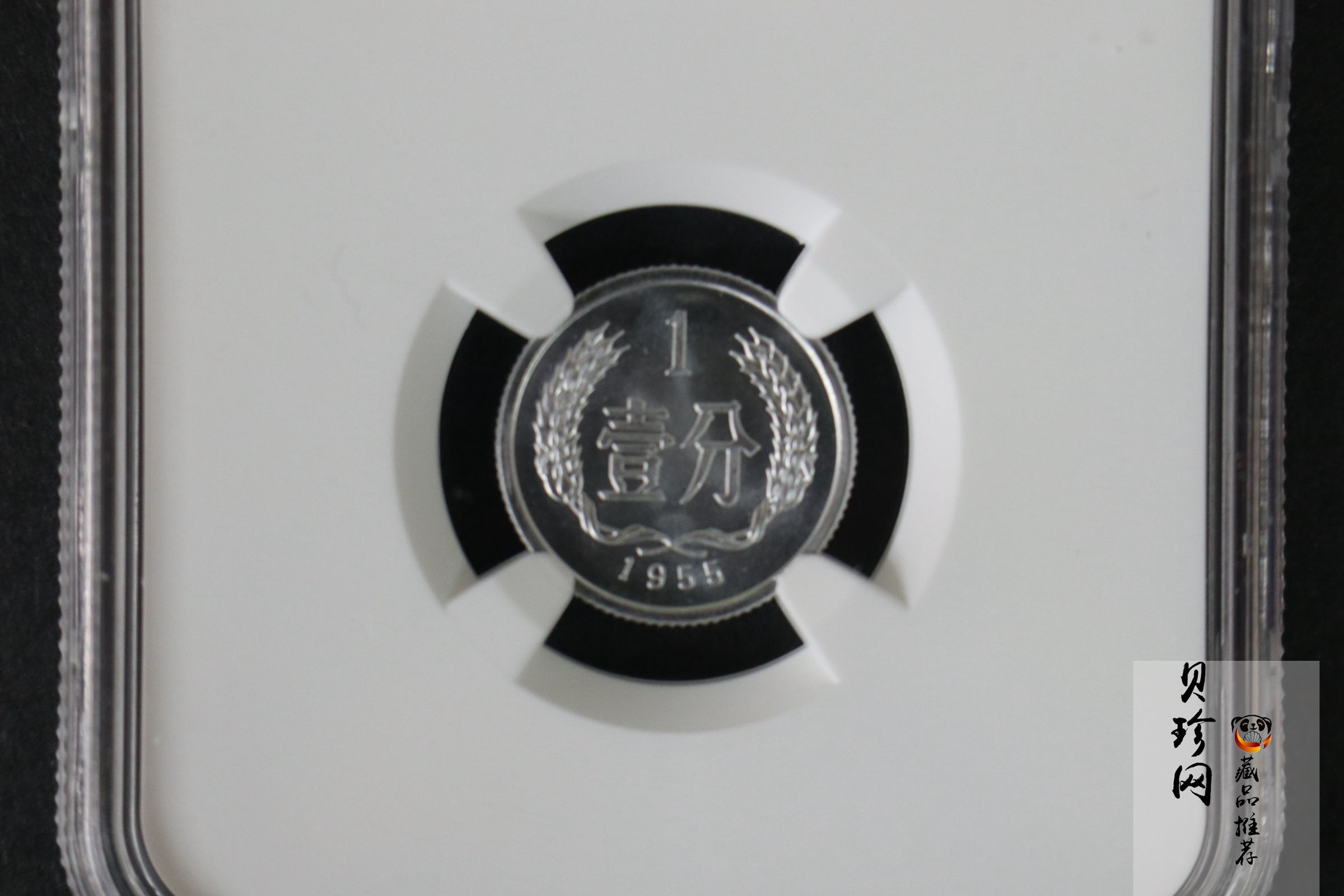 【559020】1955年中国硬币1分一枚
