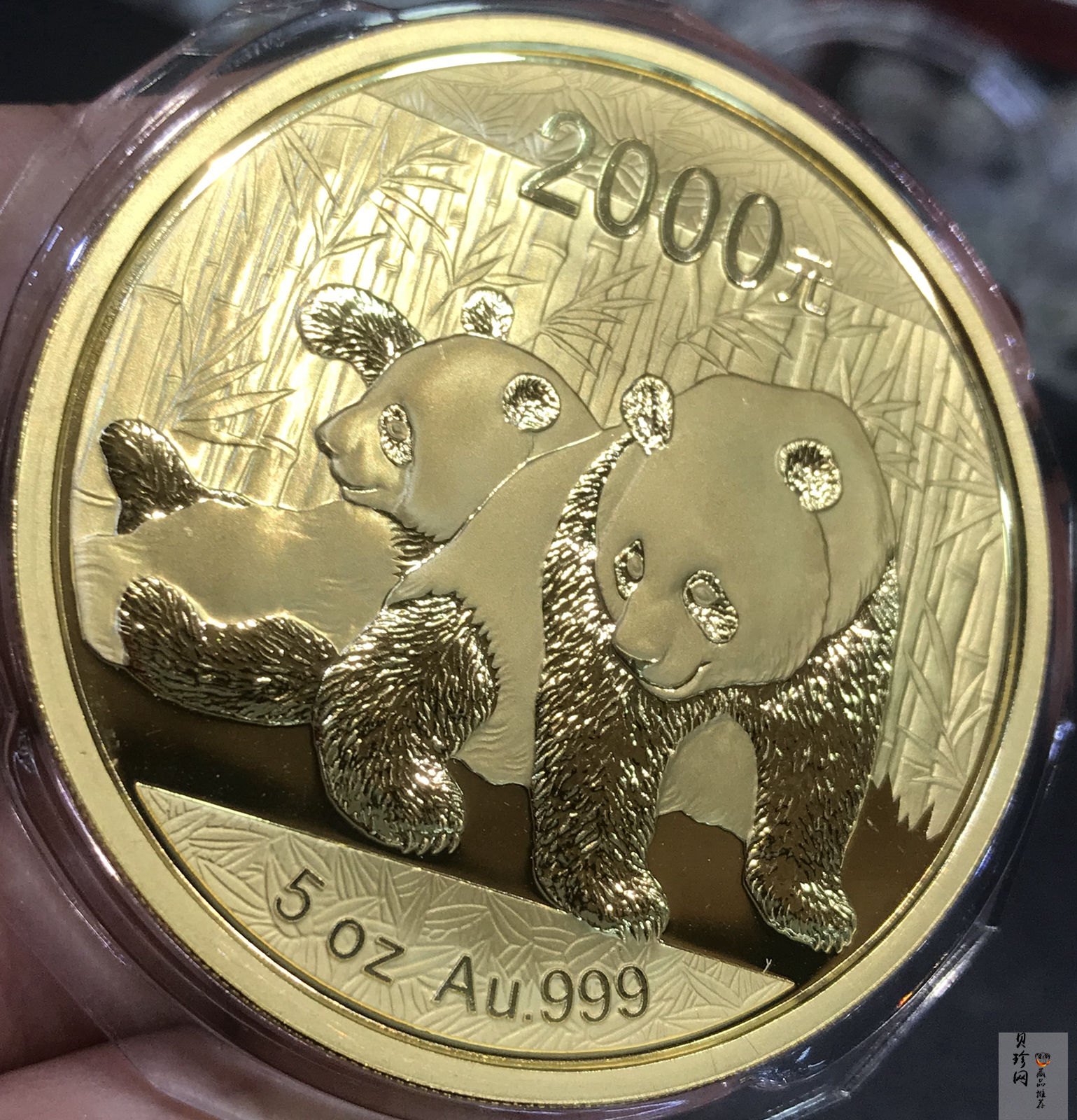 【100106】2010年熊猫5盎司精制金币