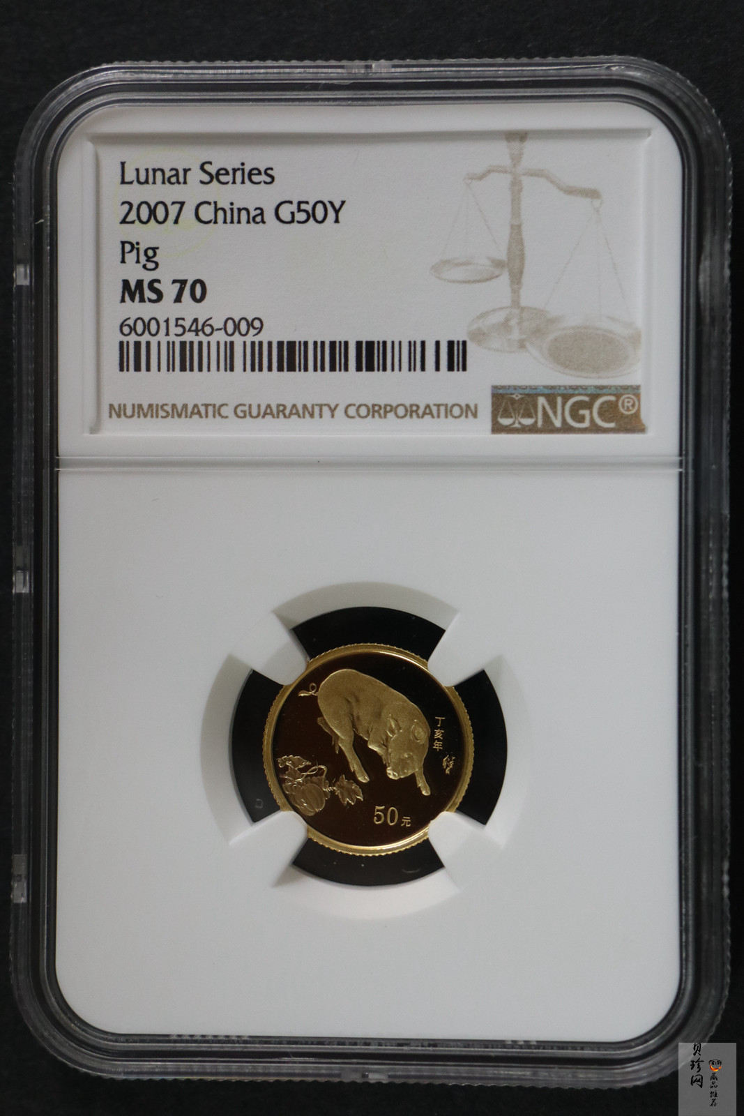 【061201】2007年丁亥猪年生肖1/10盎司普制金币