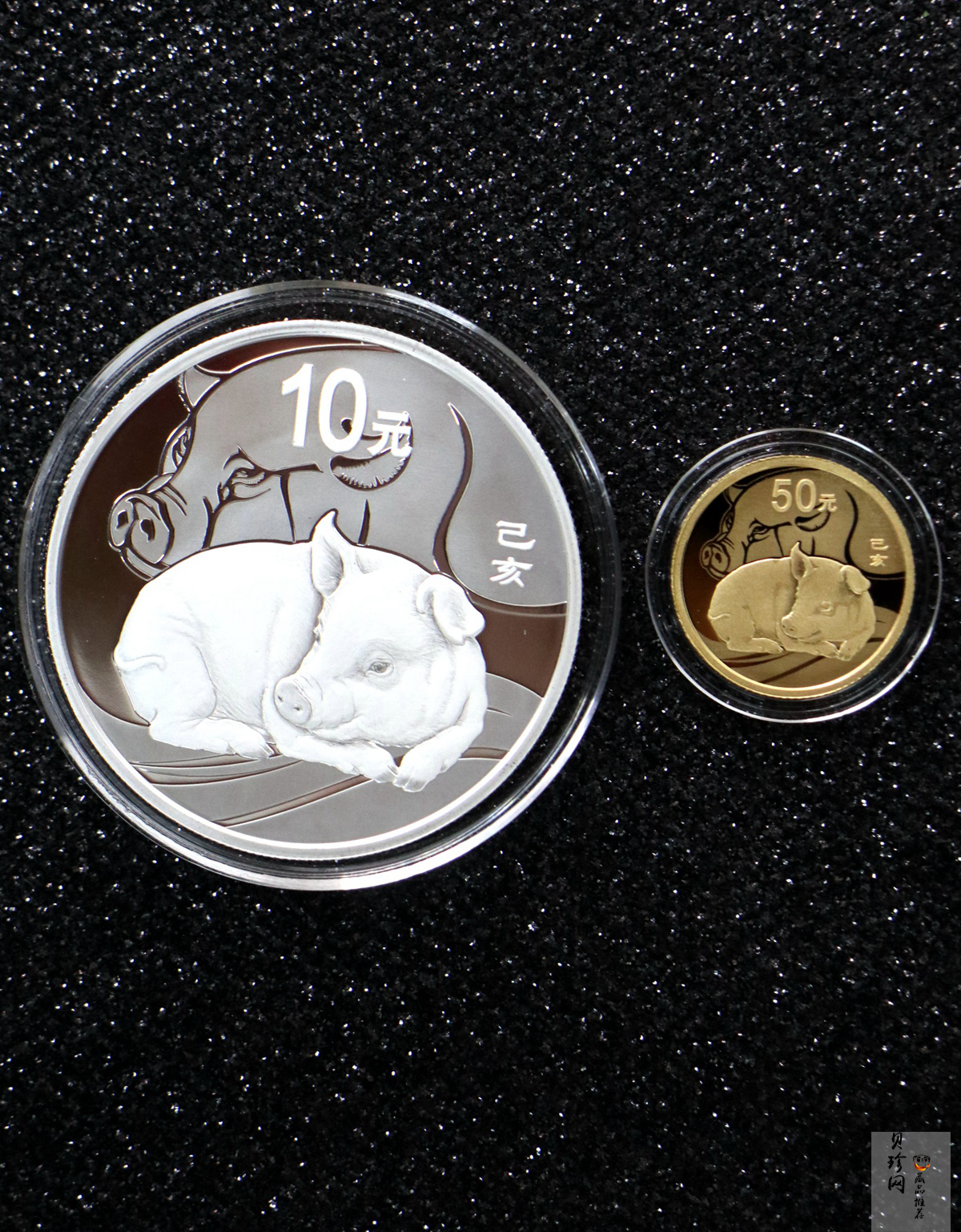 【199080】2019年中国己亥（猪）年本色金银币