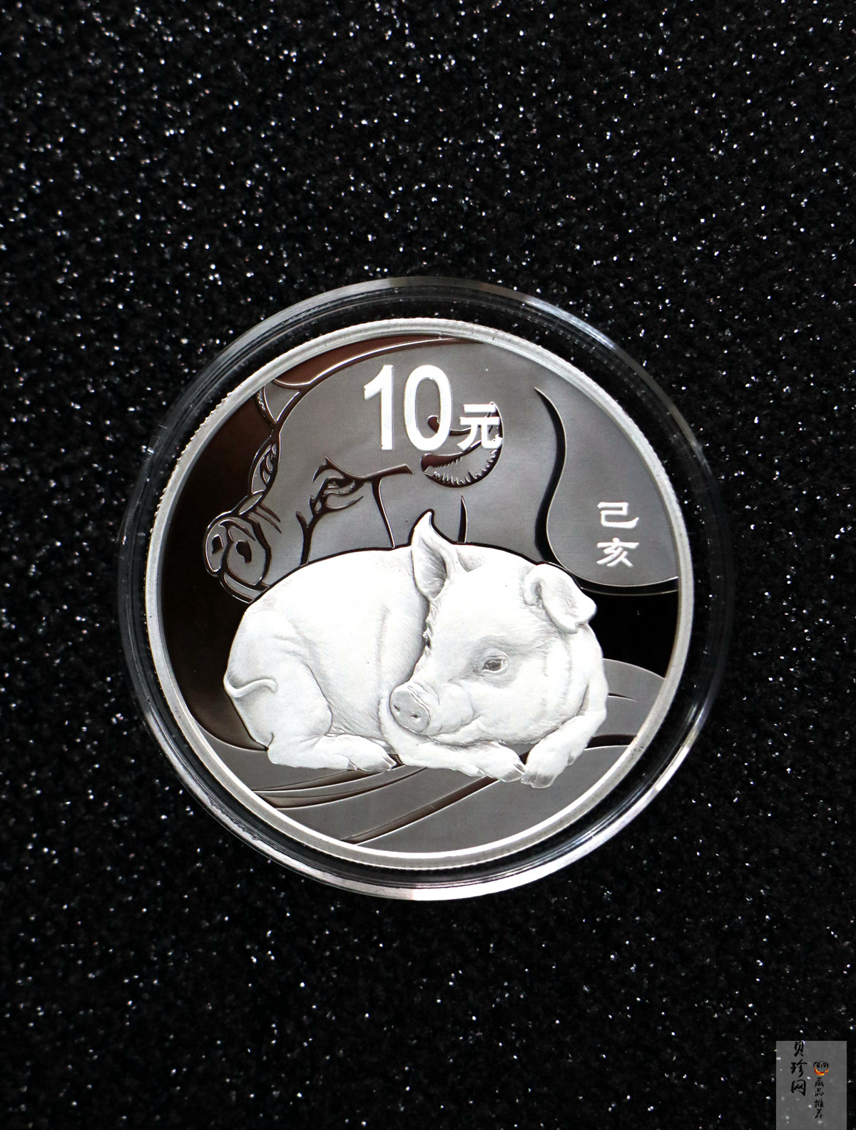 【199080】2019年中国己亥（猪）年本色金银币