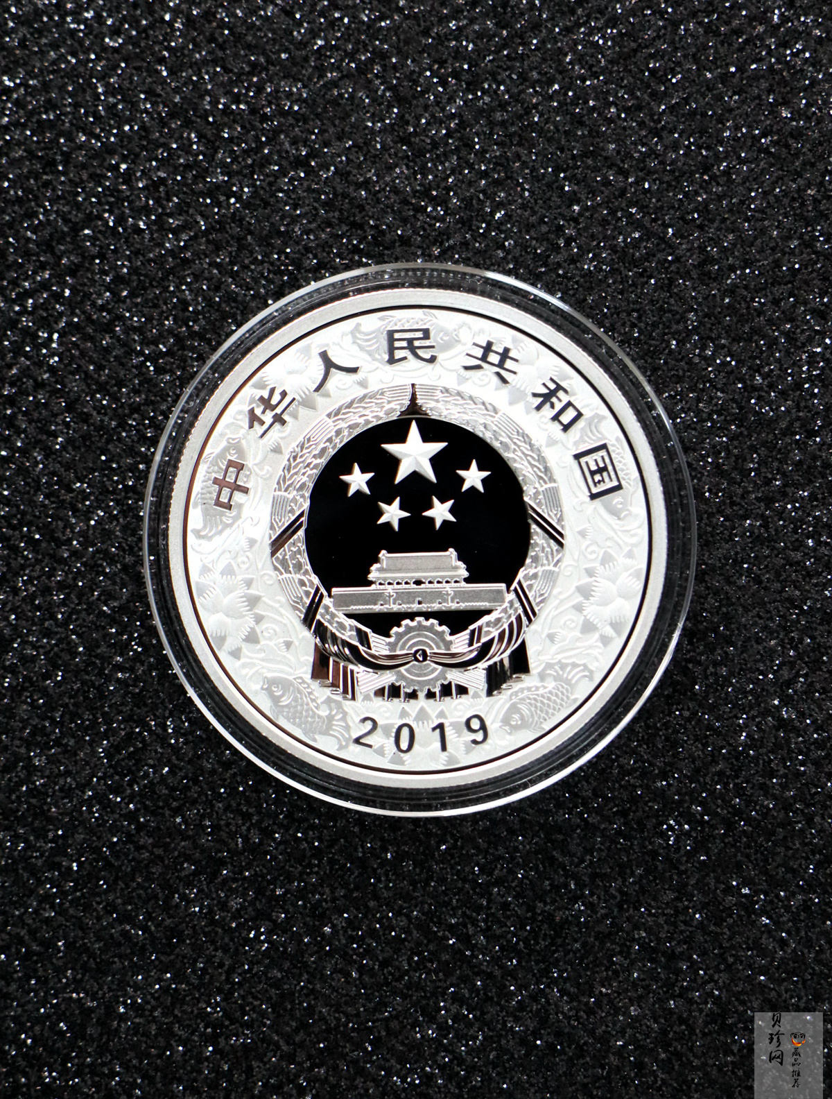 【199080】2019年中国己亥（猪）年本色金银币
