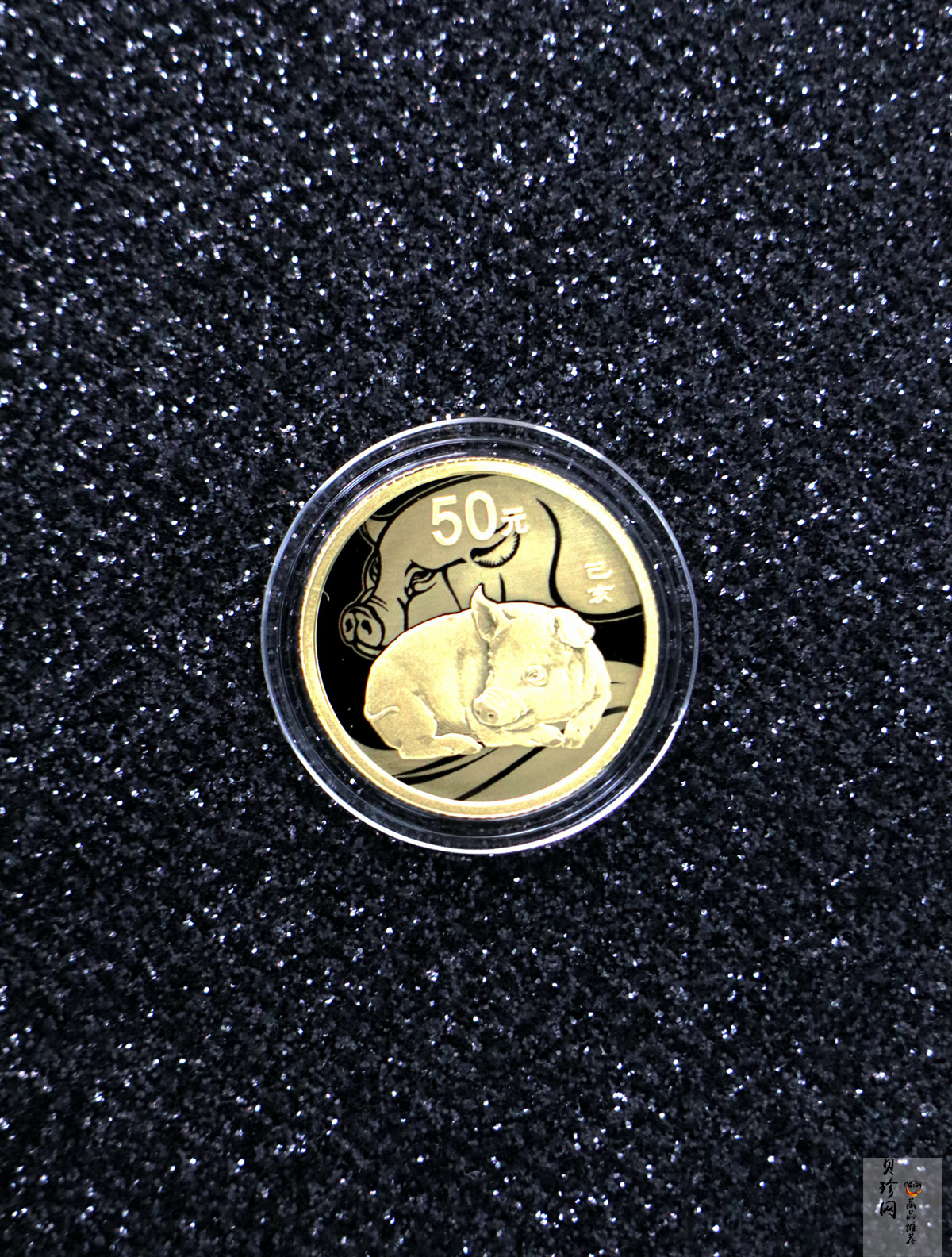 【199080】2019年中国己亥（猪）年本色金银币