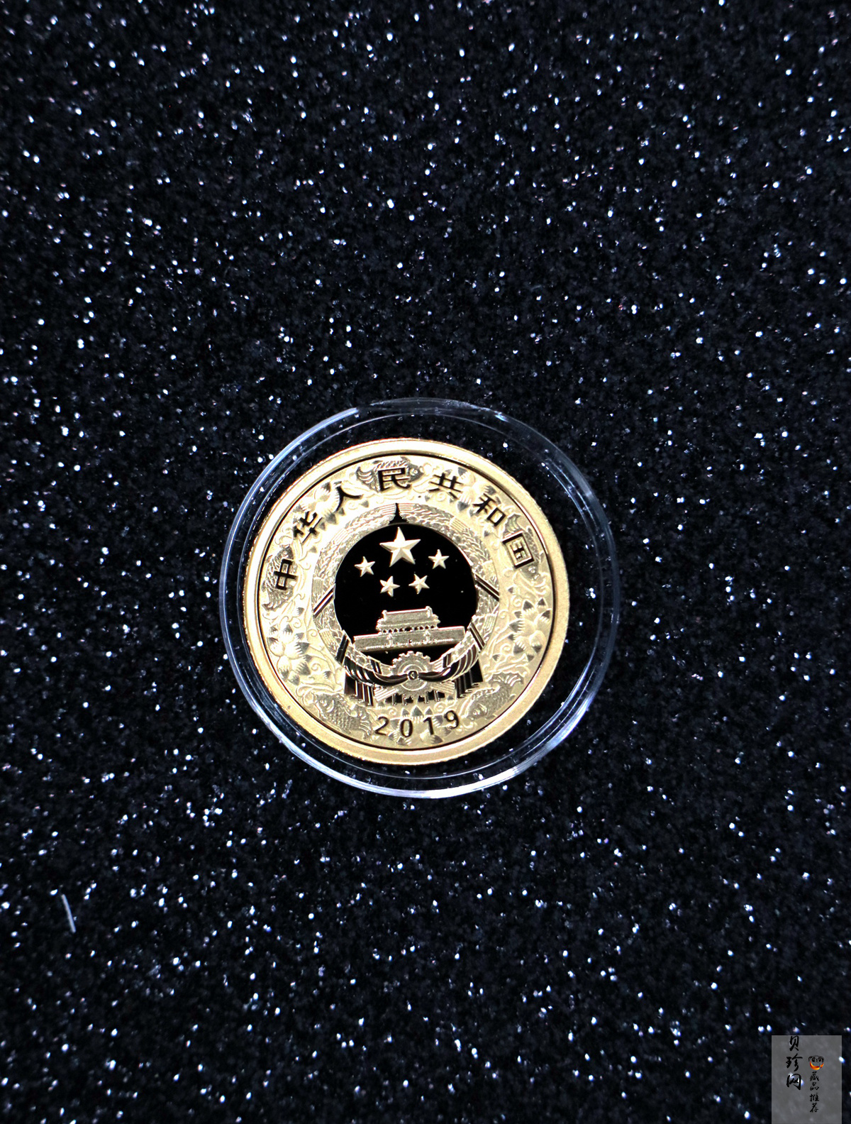 【199080】2019年中国己亥（猪）年本色金银币