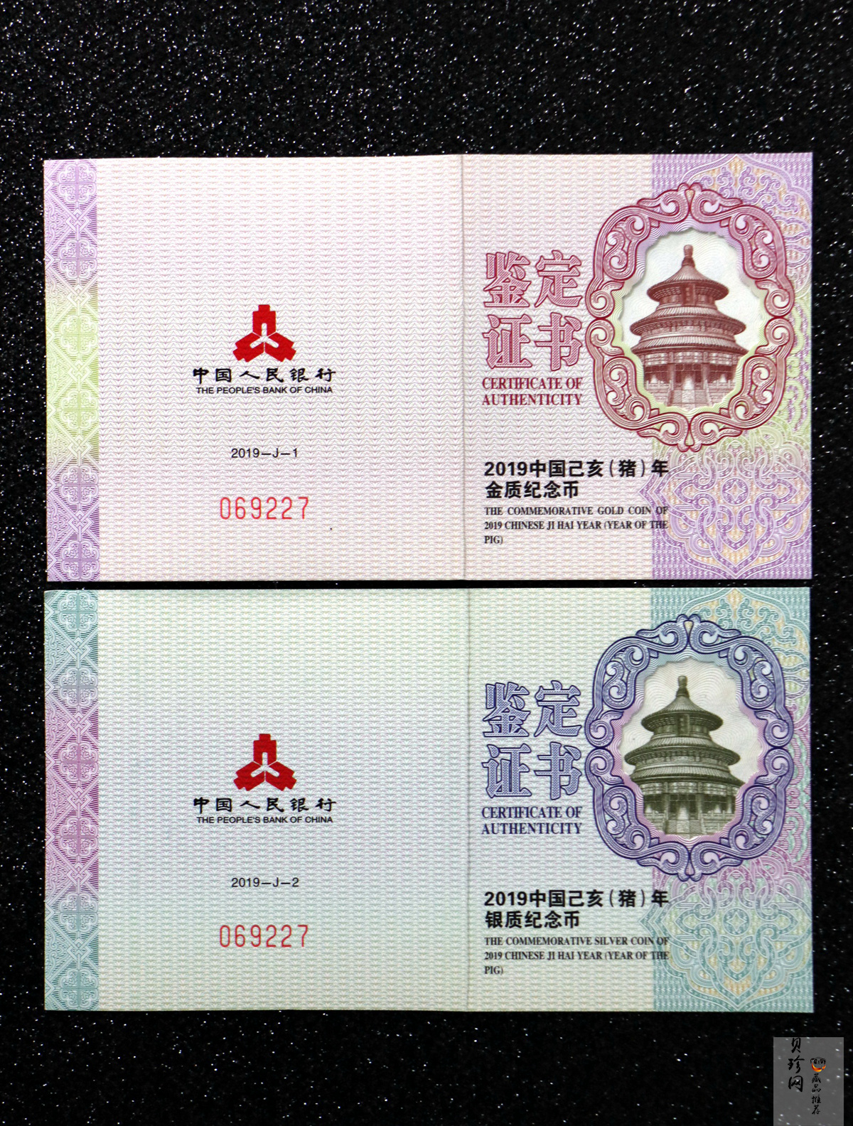 【199080】2019年中国己亥（猪）年本色金银币