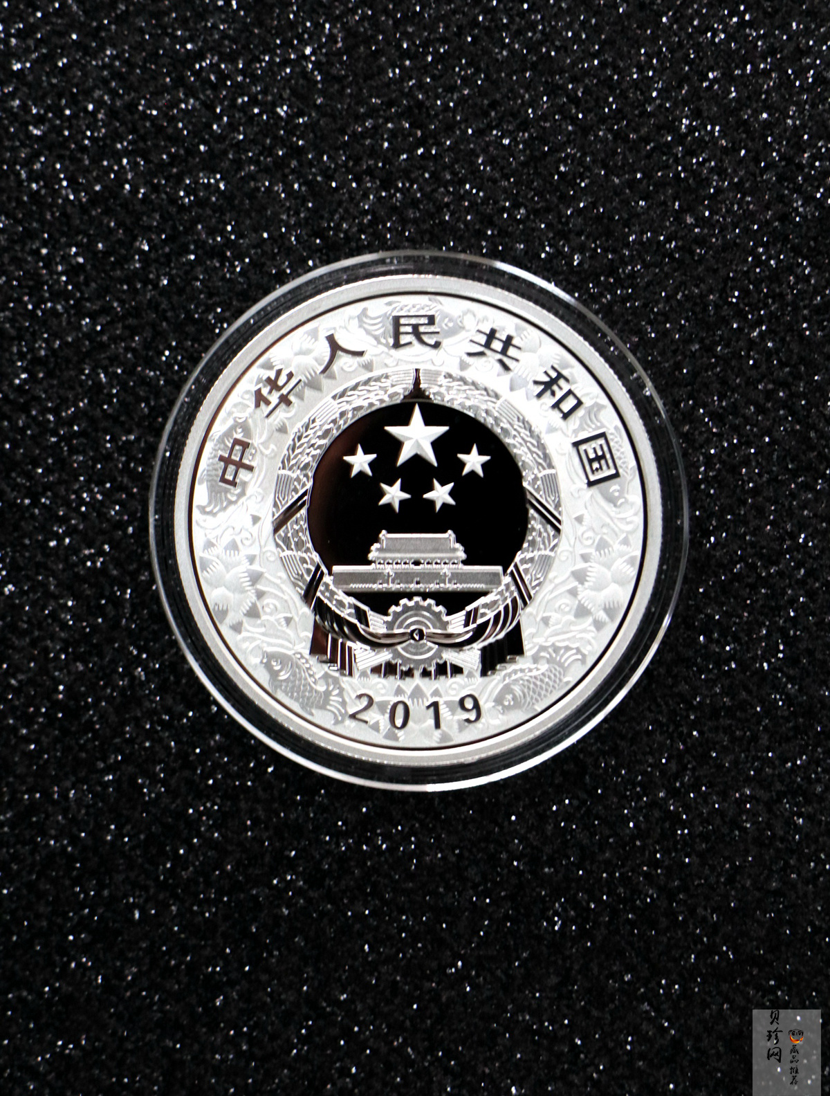 【199080】2019年中国己亥（猪）年本色金银币