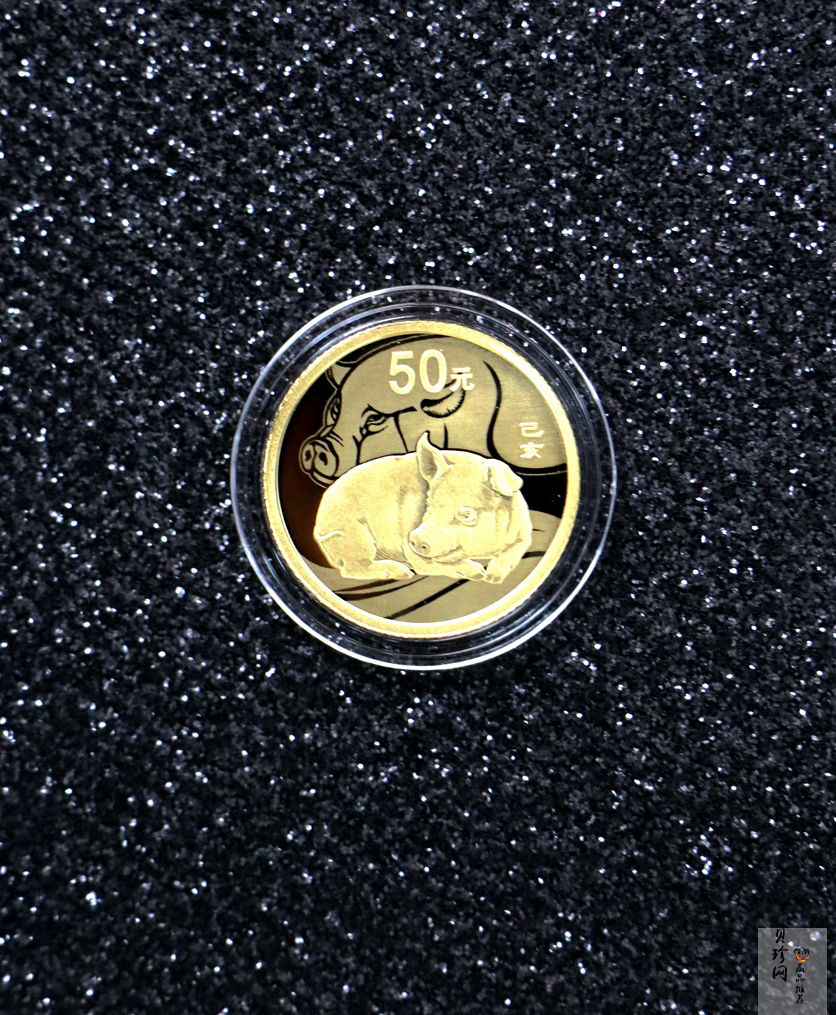 【199080】2019年中国己亥（猪）年本色金银币