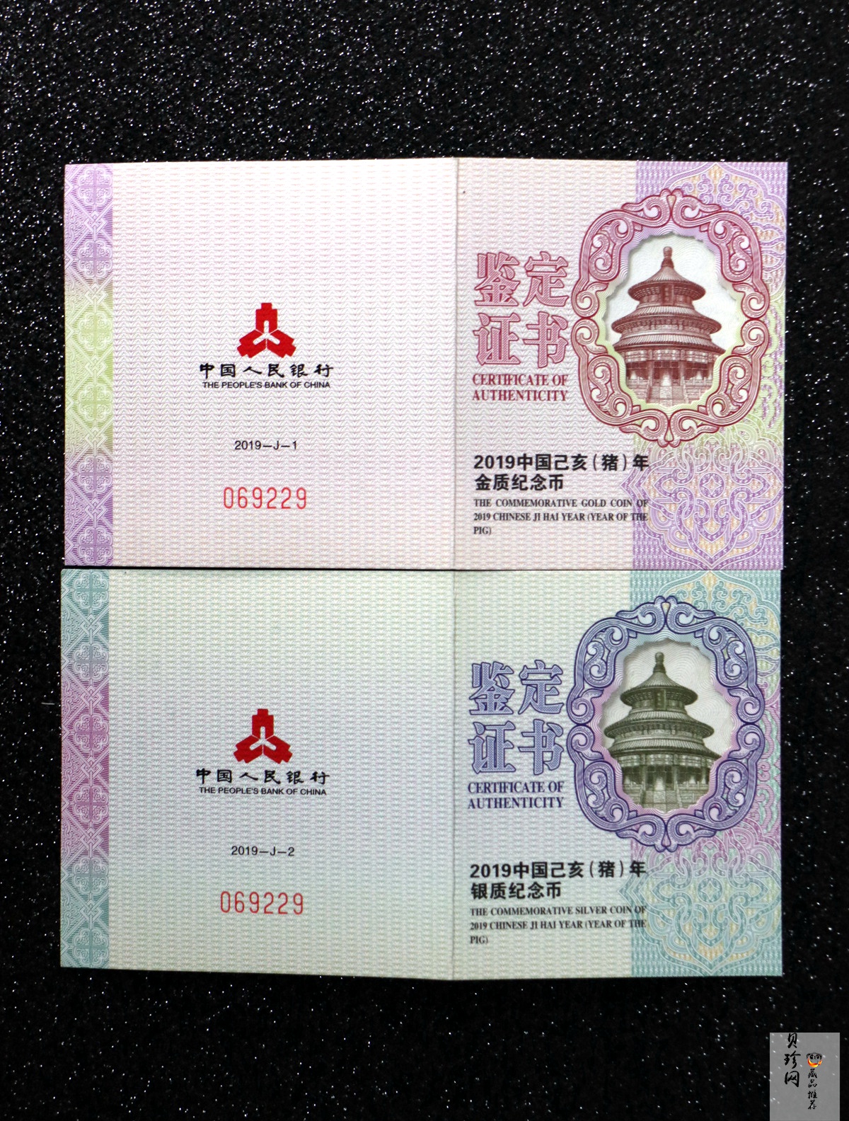 【199080】2019年中国己亥（猪）年本色金银币