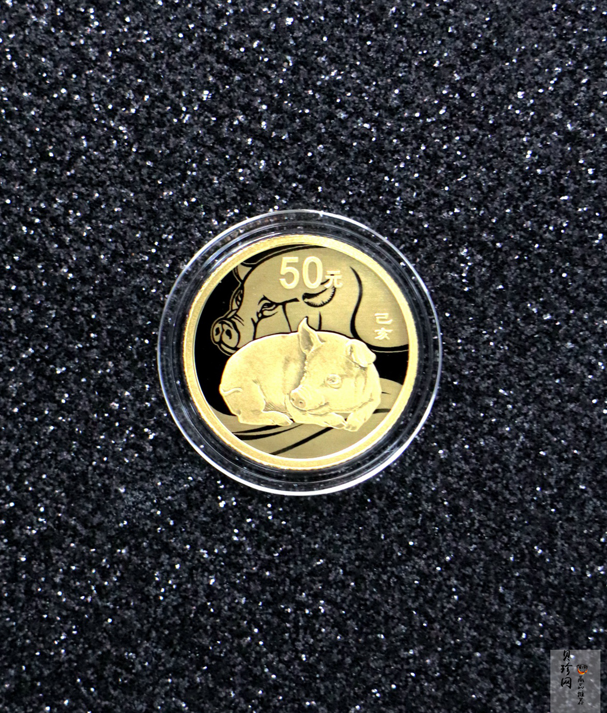 【199080】2019年中国己亥（猪）年本色金银币