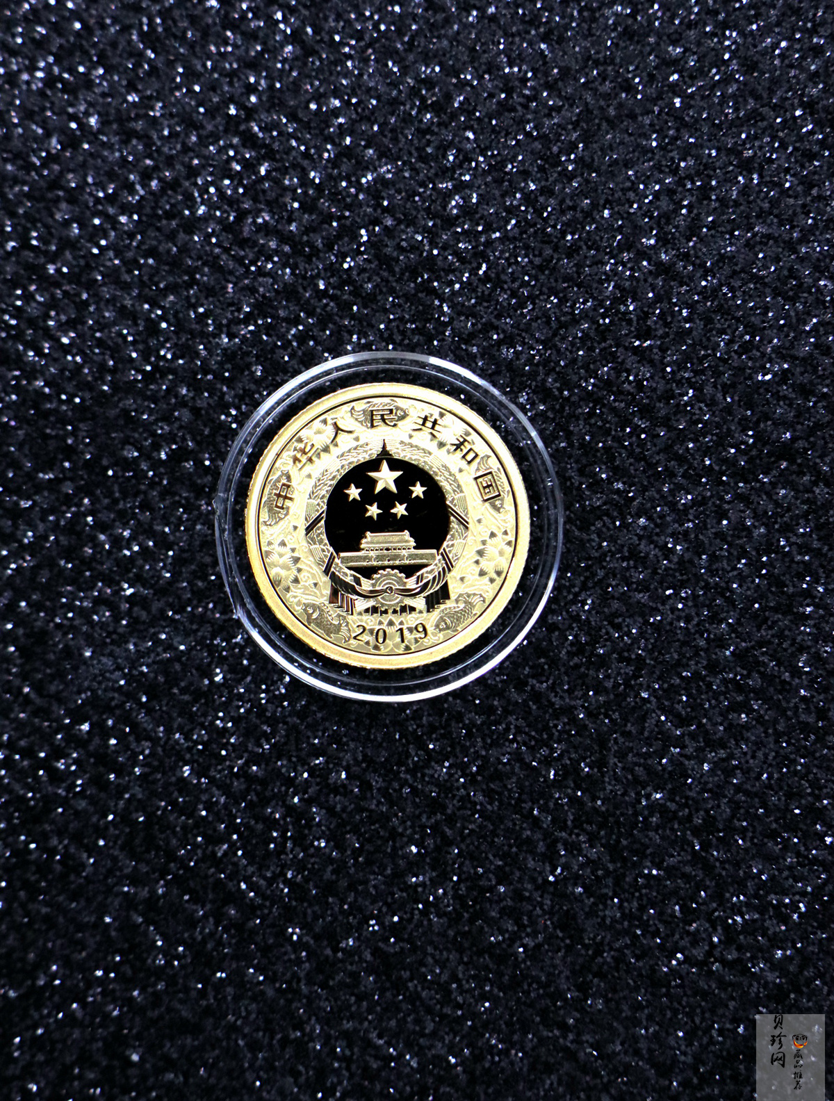 【199080】2019年中国己亥（猪）年本色金银币