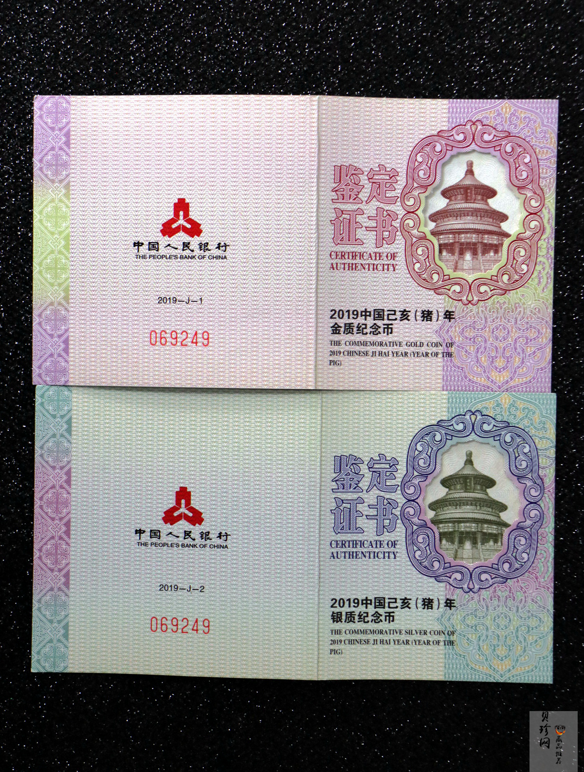 【199080】2019年中国己亥（猪）年本色金银币
