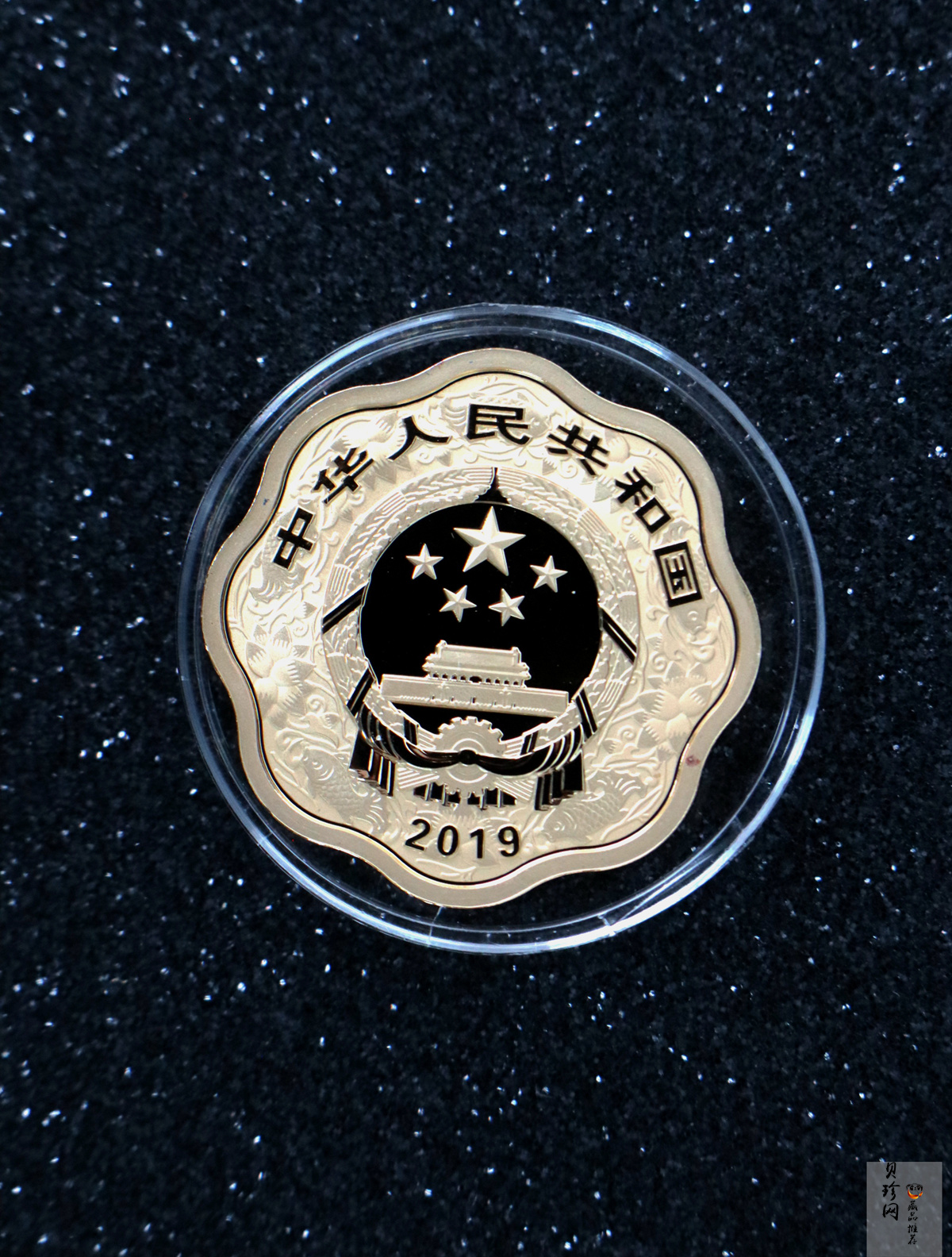 【199070】2019中国己亥（猪）年生肖精制梅花形金银币2枚一套