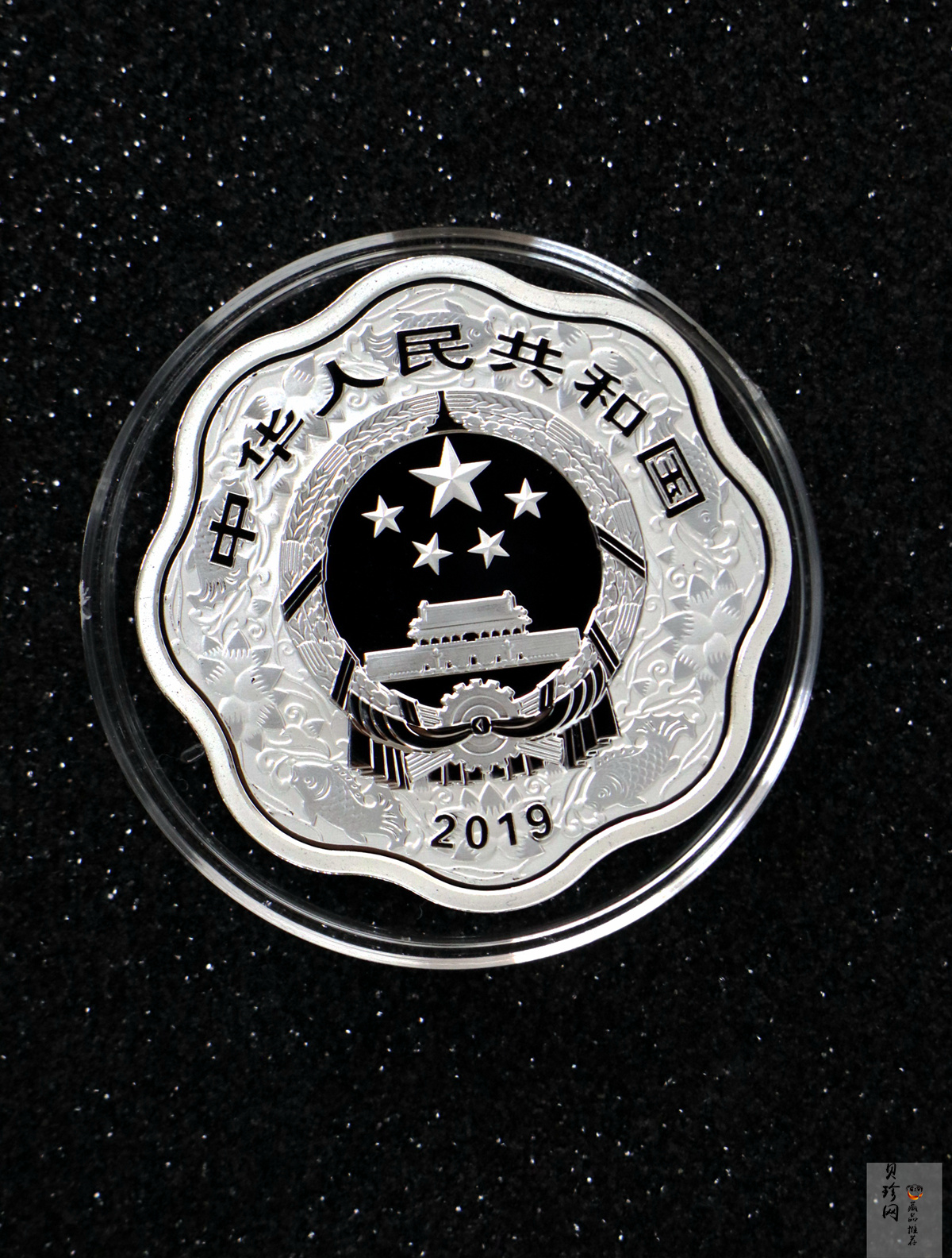 【199070】2019中国己亥（猪）年生肖精制梅花形金银币2枚一套
