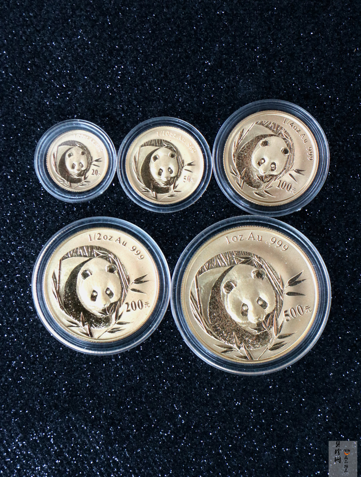 【039250】2003年熊猫普制金币5枚一套