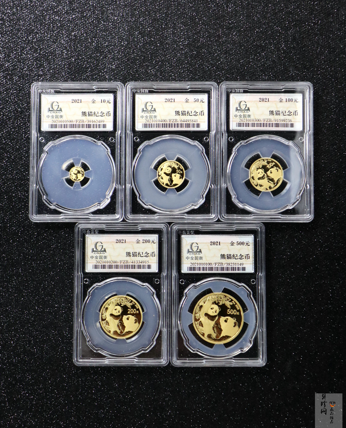 【219150】2021年熊猫普制金币5枚一套