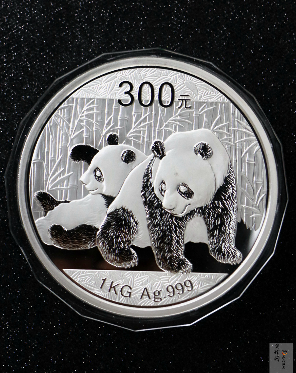 【100110】2010年熊猫1公斤精制银币