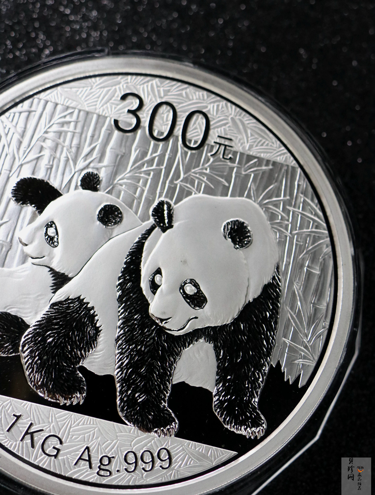 【100110】2010年熊猫1公斤精制银币