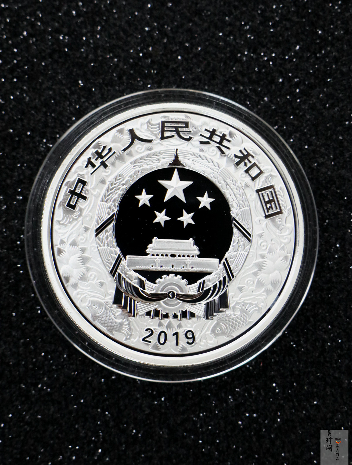 【199050】2019中国己亥（猪）年生肖精制彩金银币2枚一套