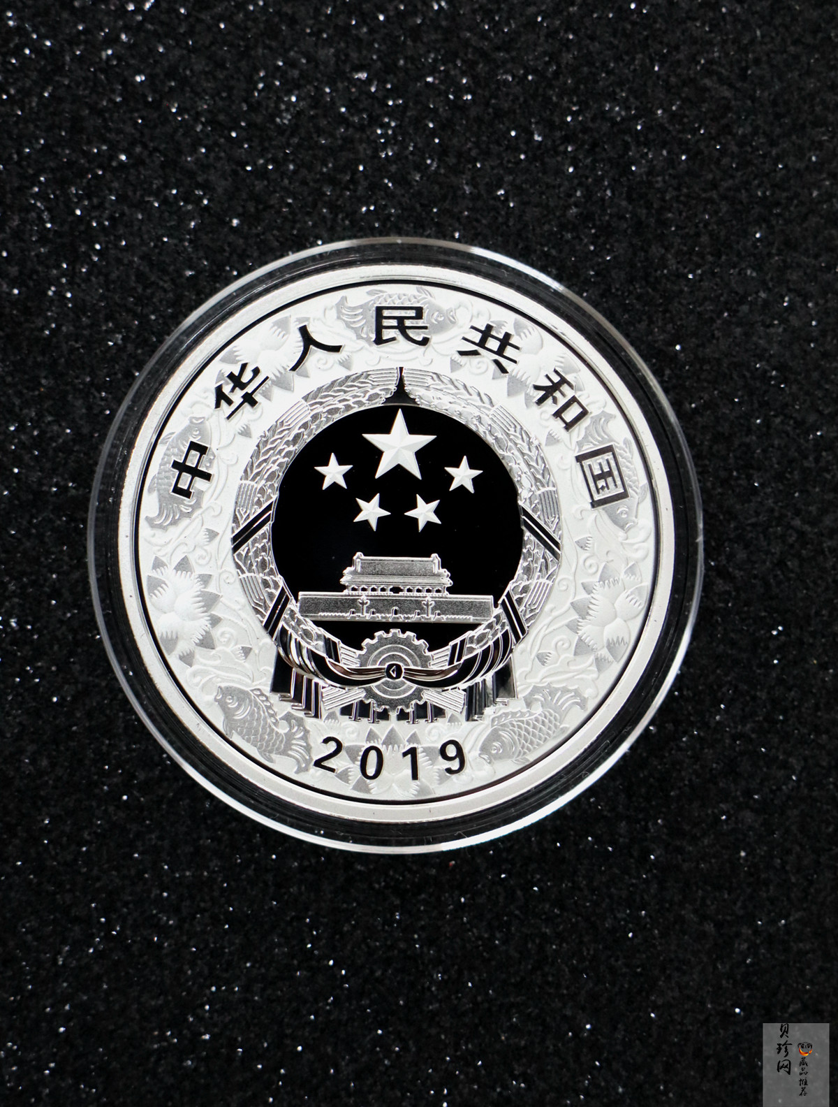 【199040】2019中国己亥（猪）年生肖精制金银币2枚一套