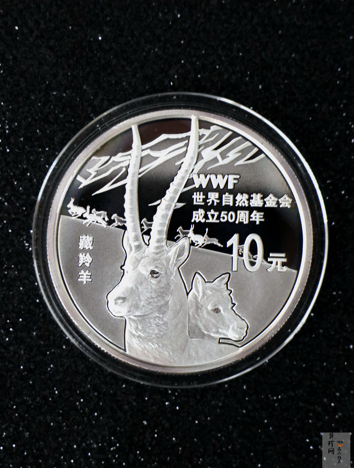 【119130】2011年世界自然基金会成立50周年金银币2枚一套