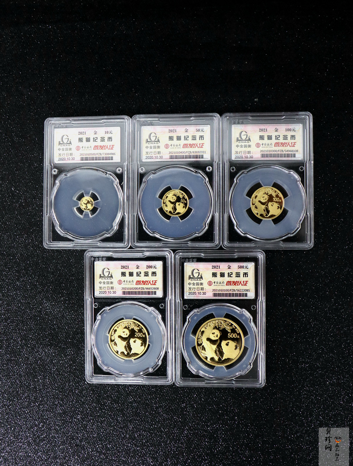 【219150】2021年熊猫普制金币5枚一套
