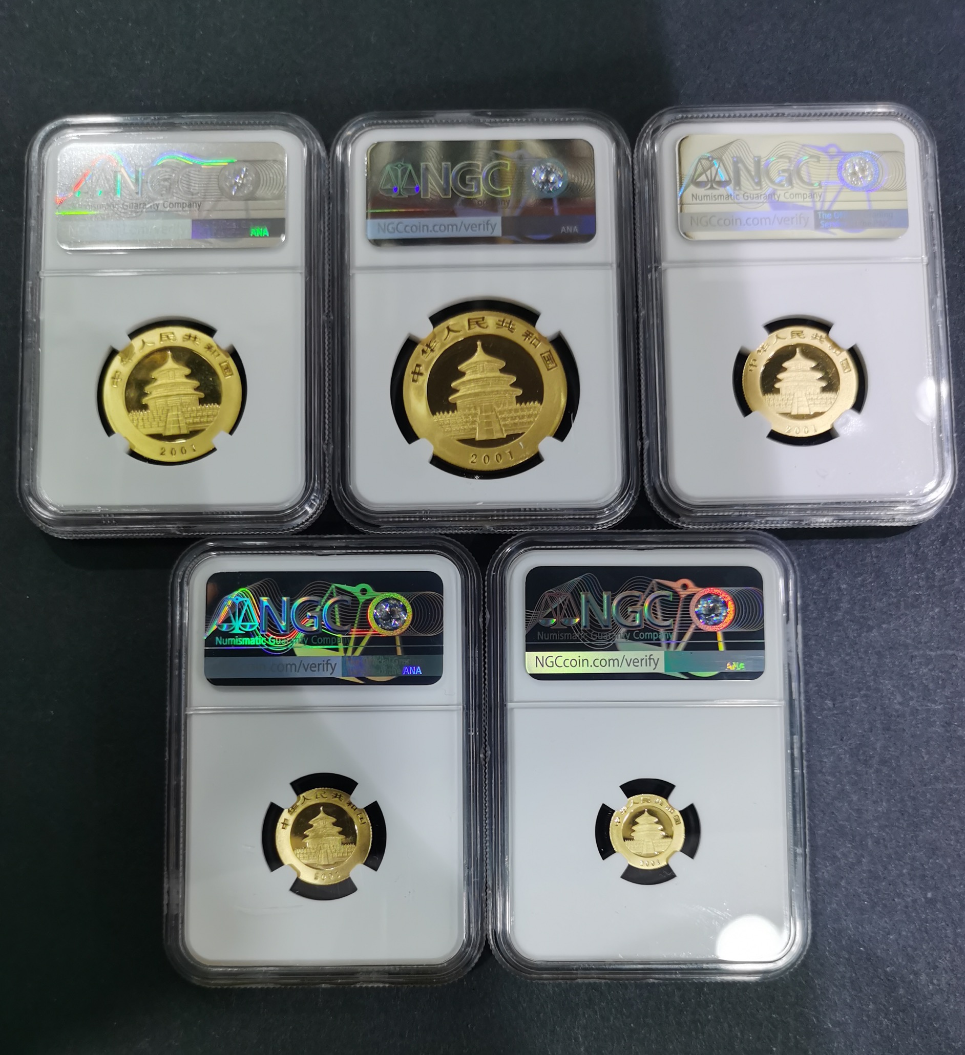 【019080】2001年熊猫普制金币五枚一套