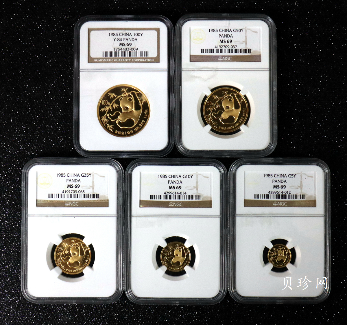 【859040】1985年熊猫普制金币五枚一套