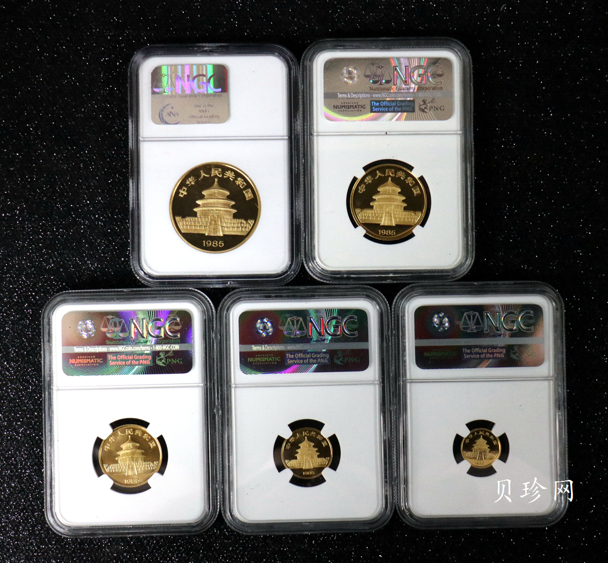 【859040】1985年熊猫普制金币五枚一套