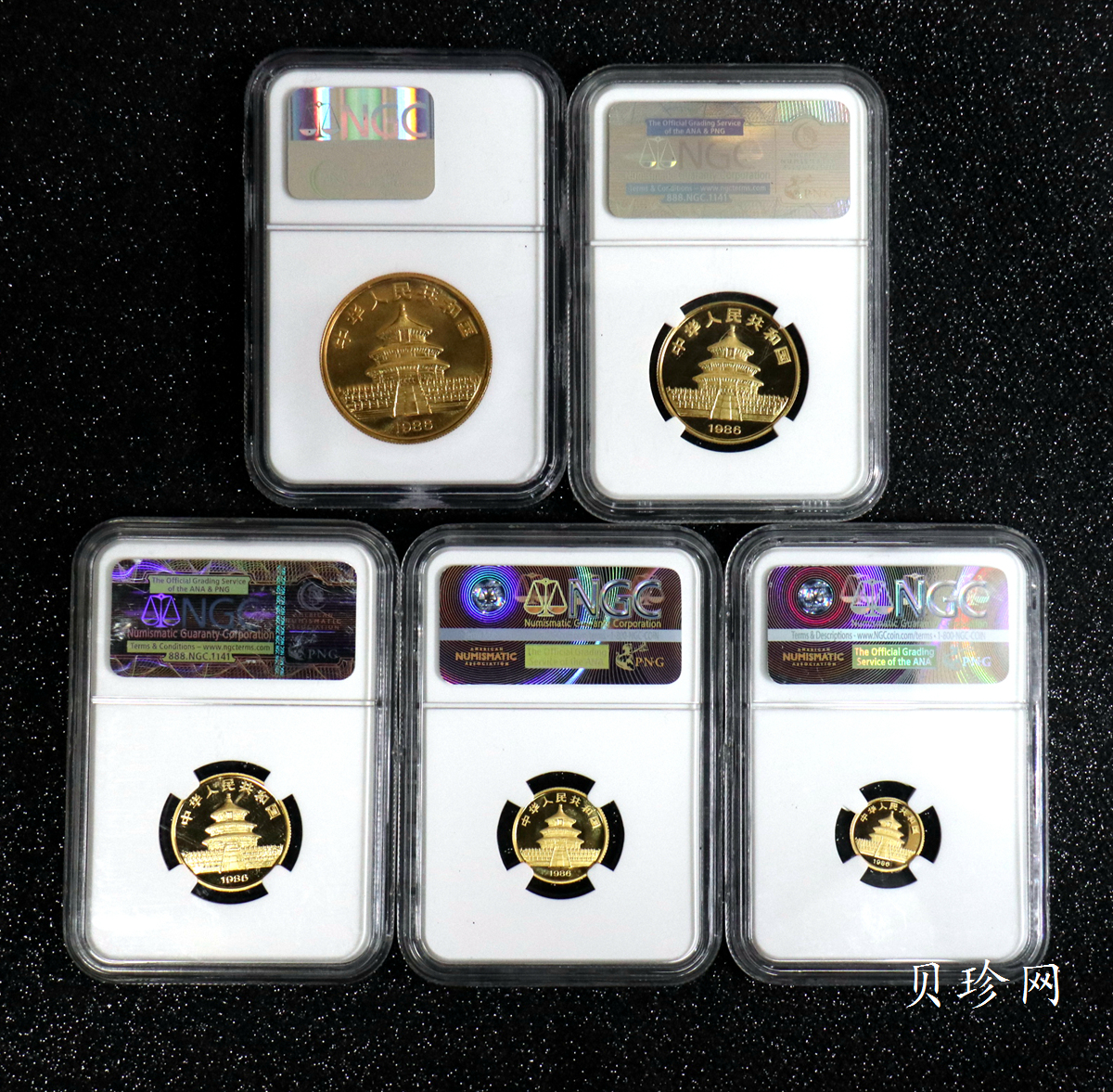 【869010】1986年熊猫普制金币五枚一套