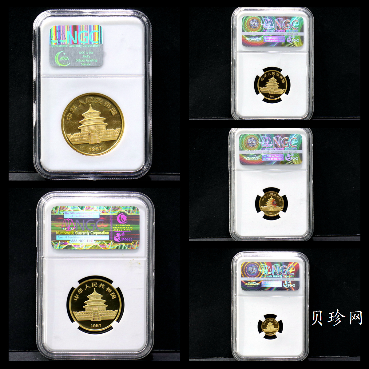 【879010】1987年熊猫普制金币五枚一套