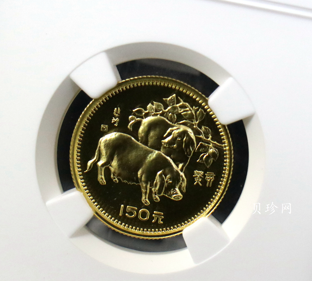 【830201】1983中国癸亥（猪）年-双猪图8克精制金币