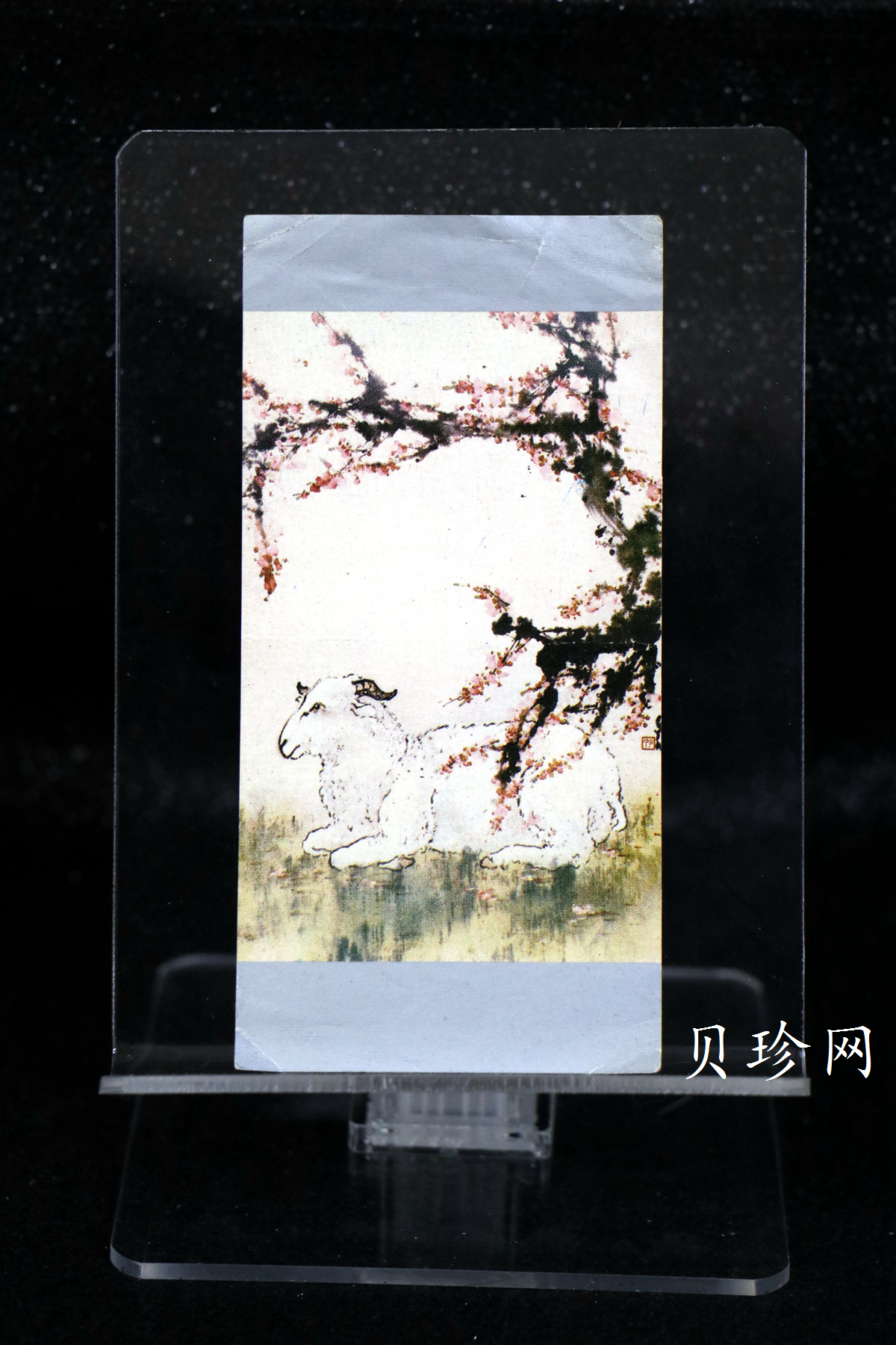 【910306】1991年辛未（羊）年5盎司精制银币