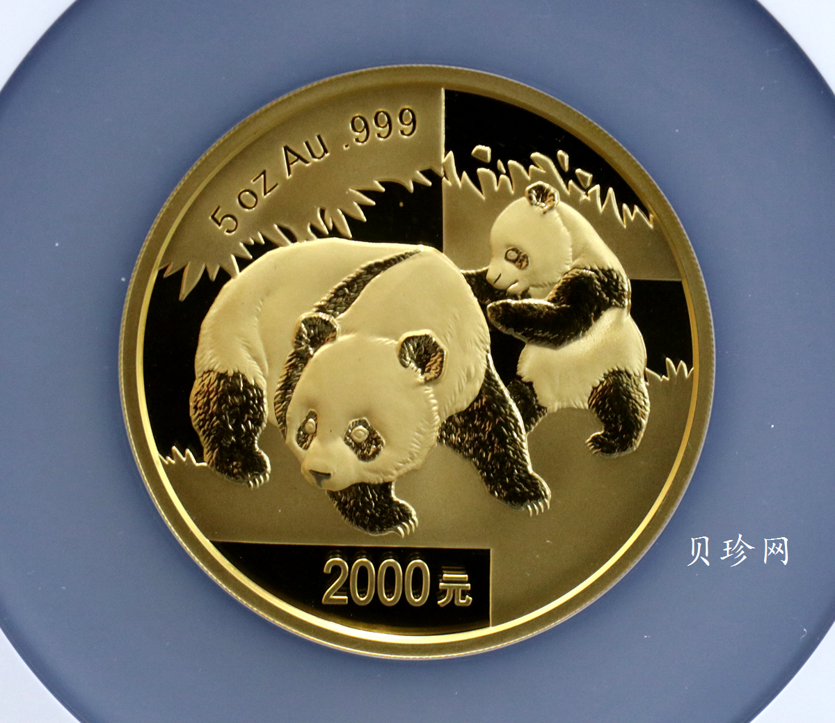 【080107】2008年熊猫5盎司精制金币