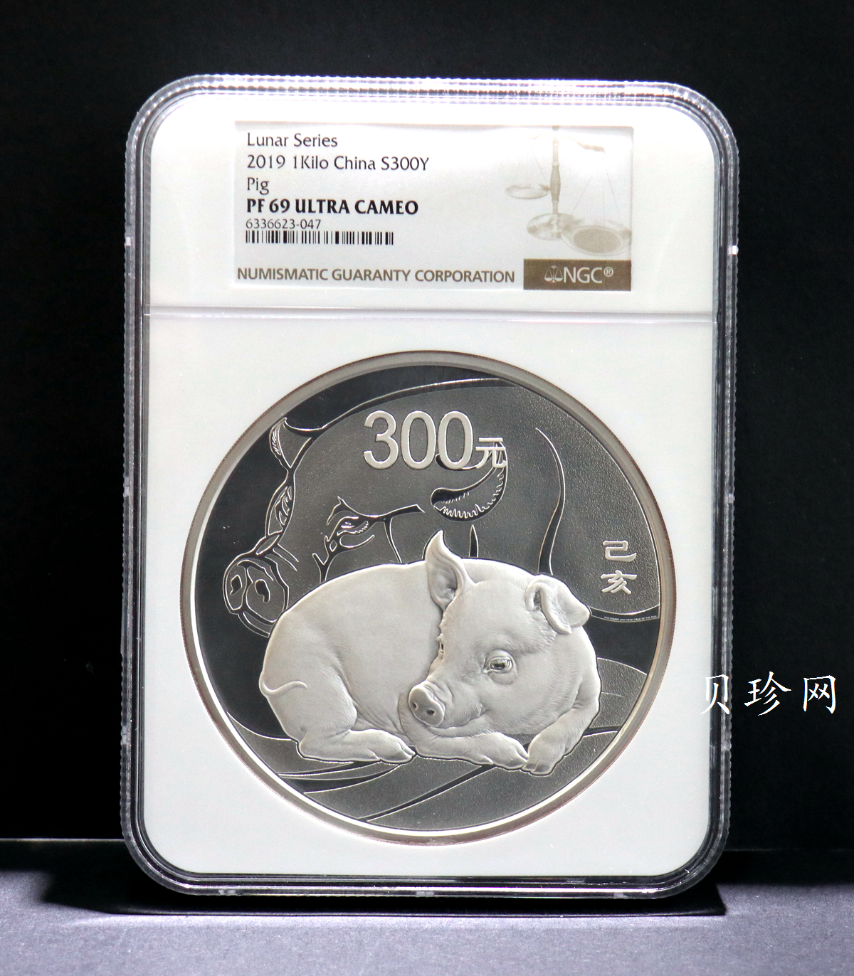 【191115】2019中国己亥（猪）年金银纪念币1公斤圆形银币