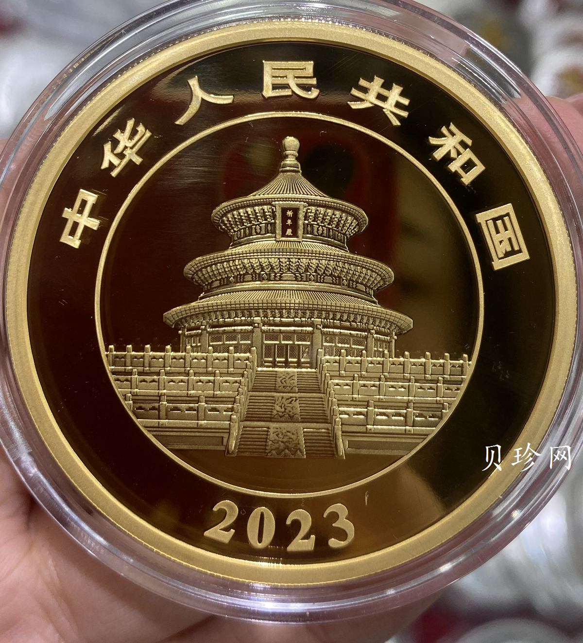 【230101】2023年熊猫100克精制金币