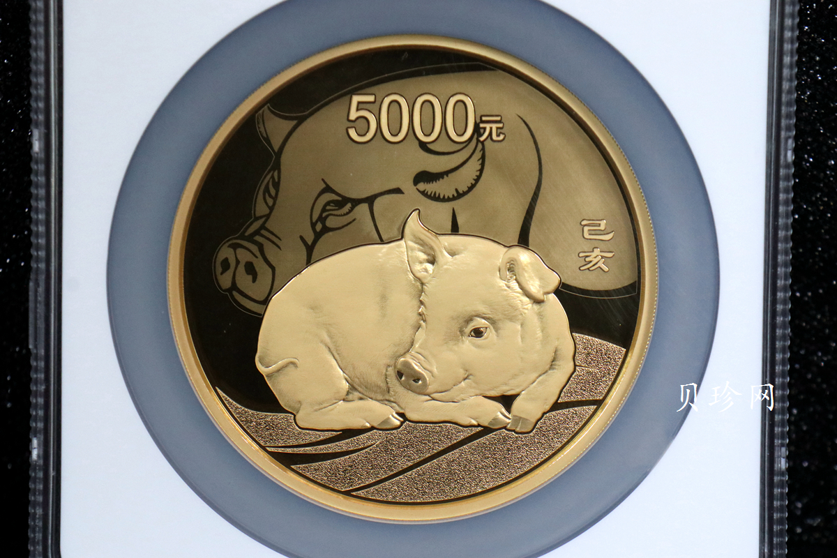 【191120】2019中国己亥（猪）年金银纪念币500克圆形金币