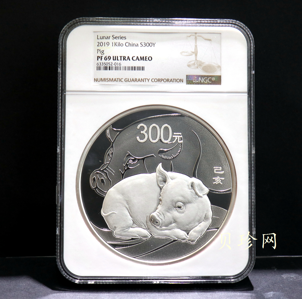【191115】2019中国己亥（猪）年金银纪念币1公斤圆形银币