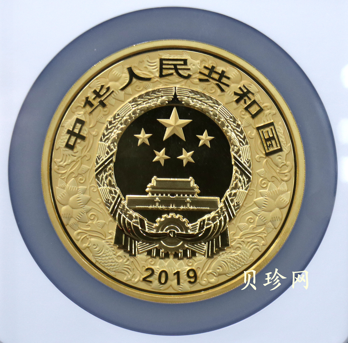 【191120】2019中国己亥（猪）年金银纪念币500克圆形金币