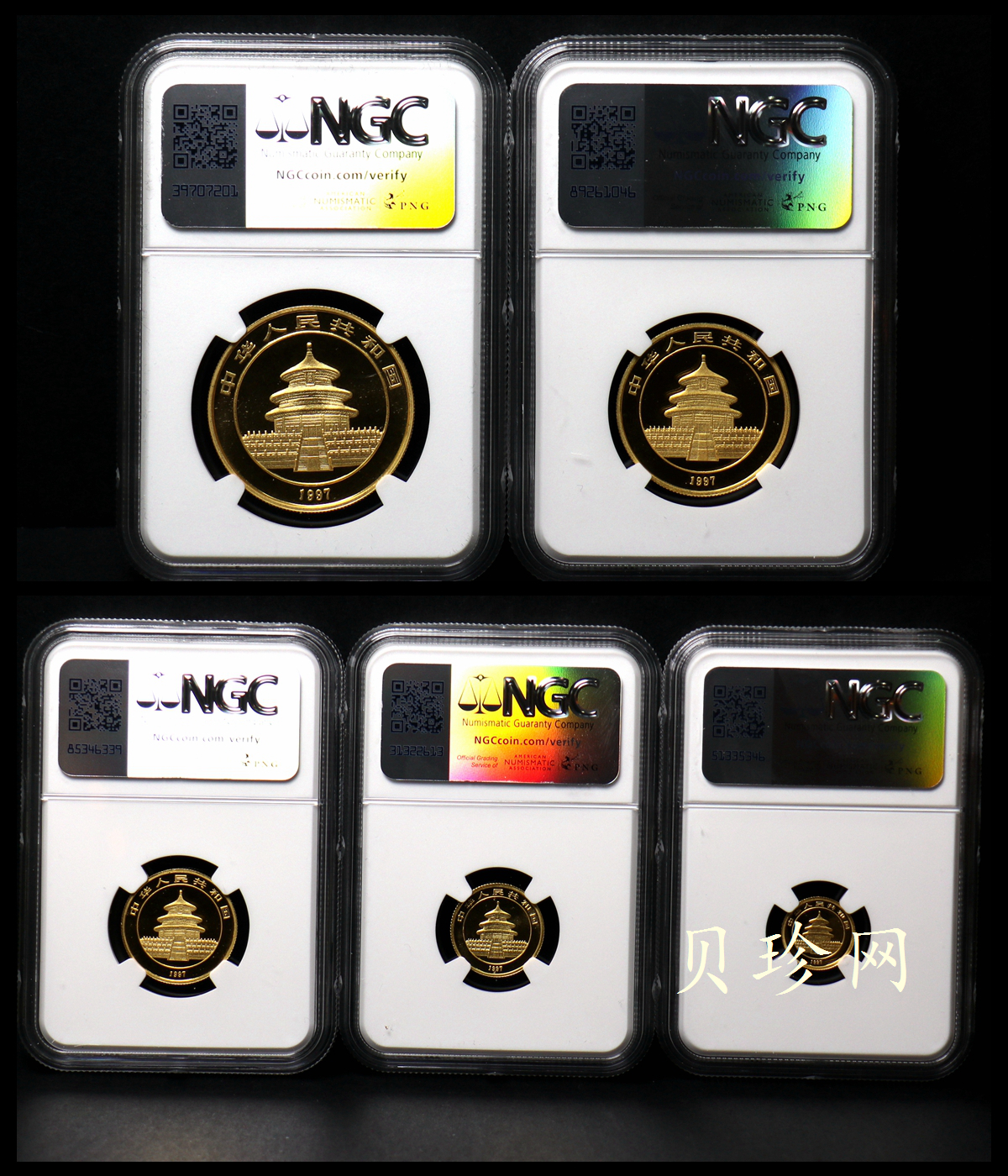 【979120】1997年熊猫普制金币五枚一套
