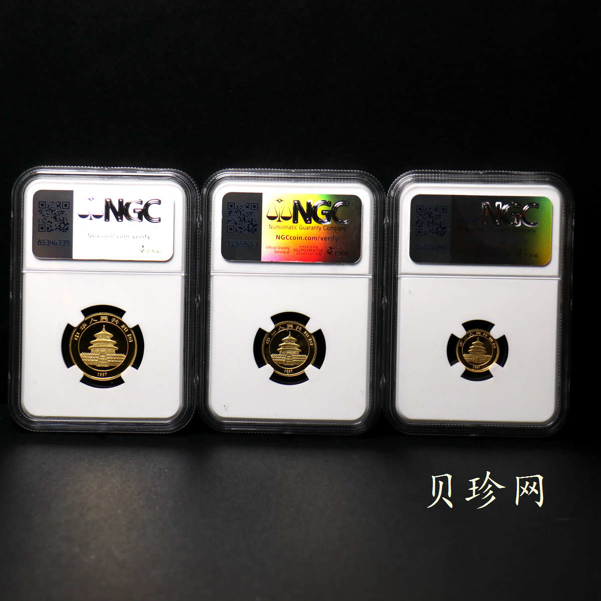 【979120】1997年熊猫普制金币五枚一套