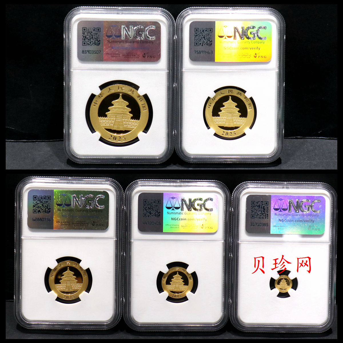 【259010】2025年熊猫套金币