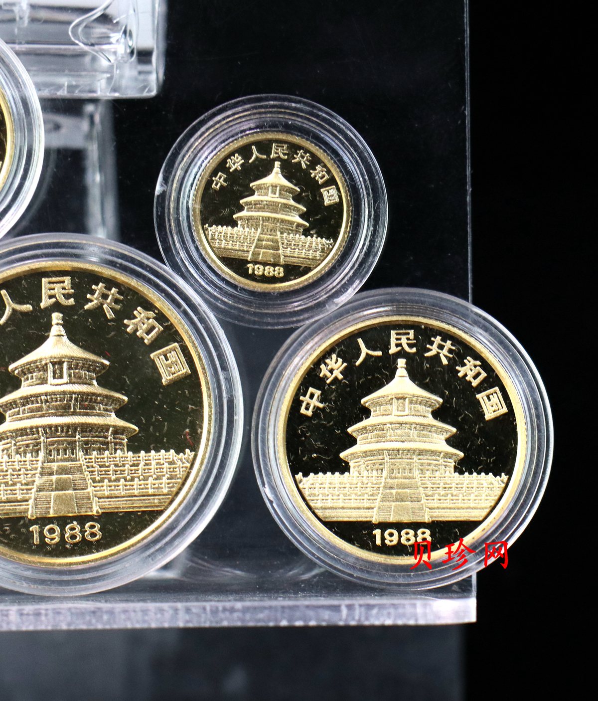 【889010】1988年熊猫普制金币五枚一套