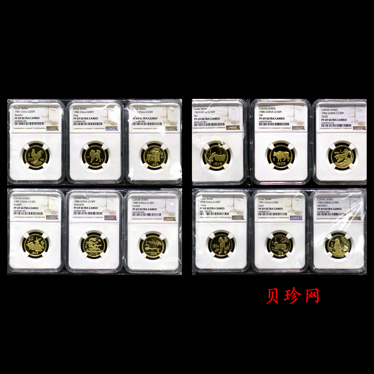 【919120】1981年-1992年生肖8克金币套币