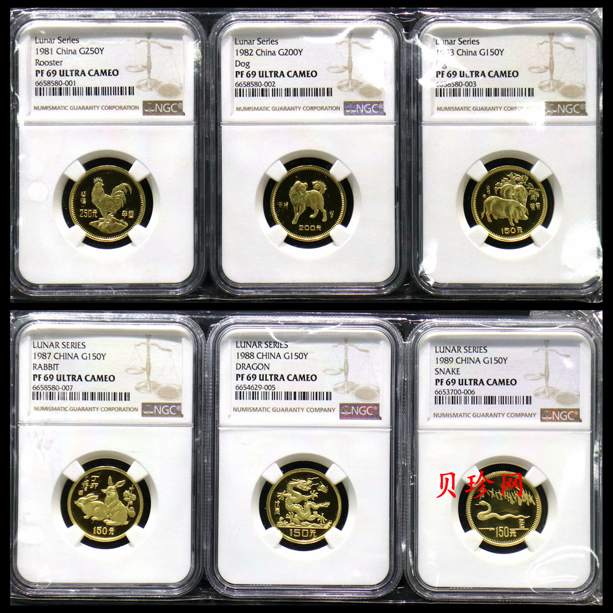 【919120】1981年-1992年生肖8克金币套币