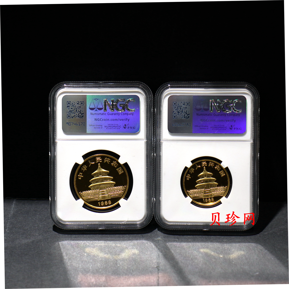 【889080】1988年熊猫精制金币五枚一套